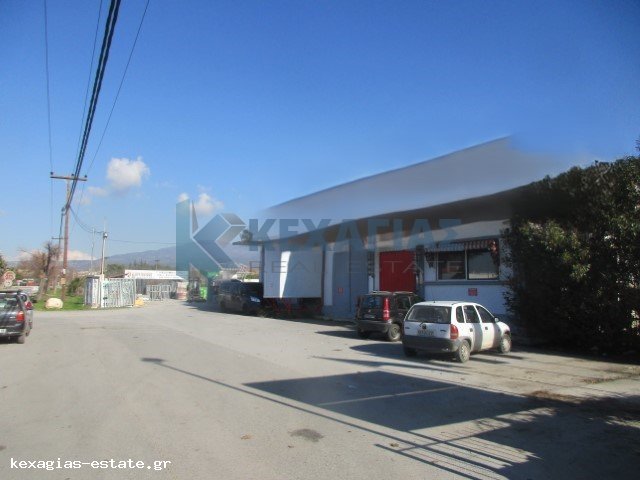 ΘΕΡΜΗ (ΕΠΑΓΓΕΛΜΑΤΙΚΑ)