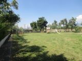 ea_IMG_3420_JPG_38882154